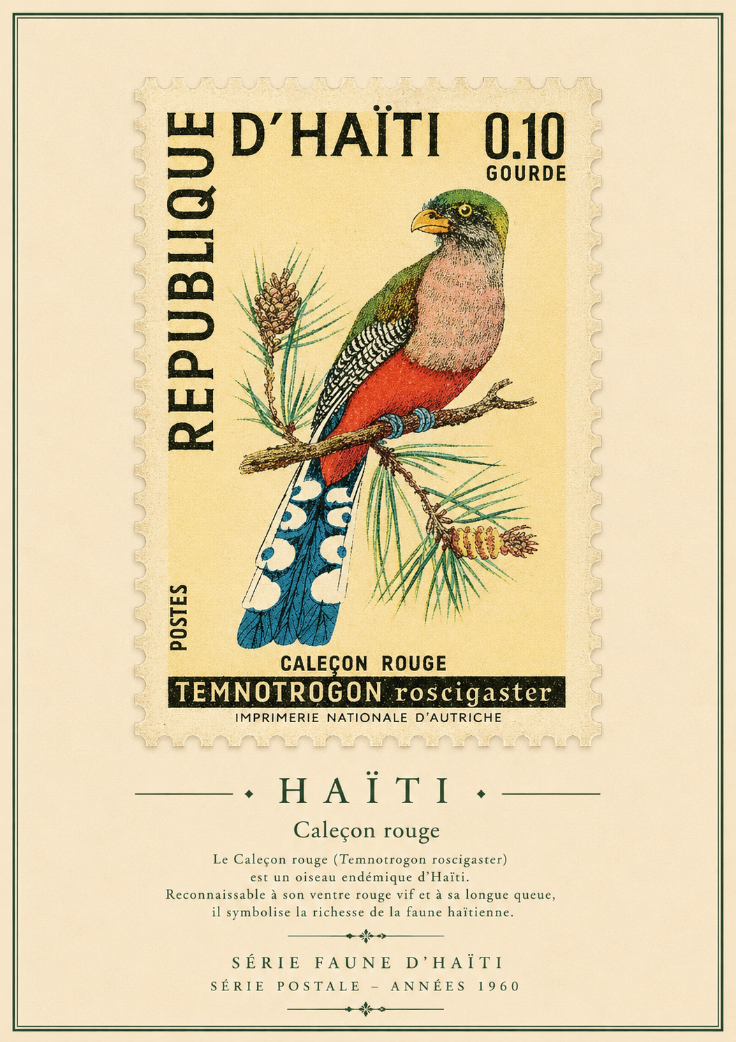 Maison Hibiscus | Affiche Vintage – Caléçon Rouge d'Haïti